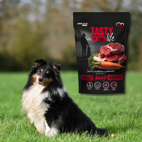 Tasty Dogs Life Wołowina  500 g mokra karma dla psa w galaretce