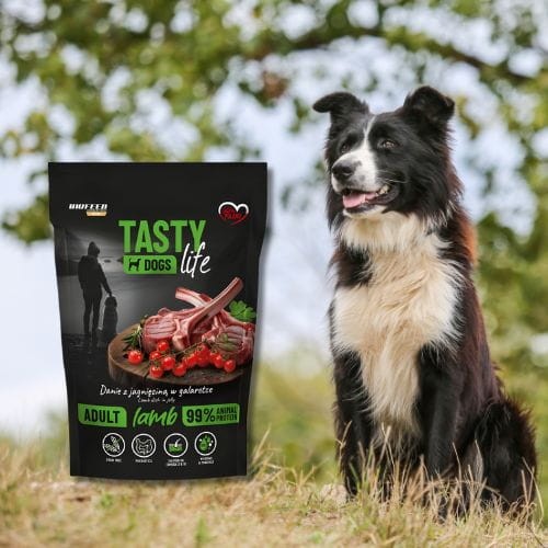 Tasty Dogs Life Jagnięcina 500 g mokra karma dla psa w galaretce