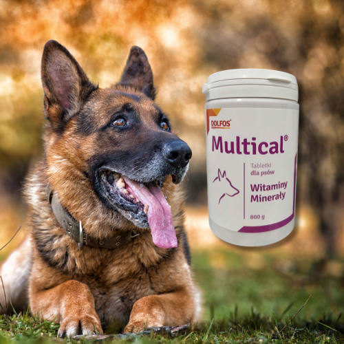 Dolfos Dolvit Multical 800g (510 tabl) Witaminy i minerały dla psa a.png