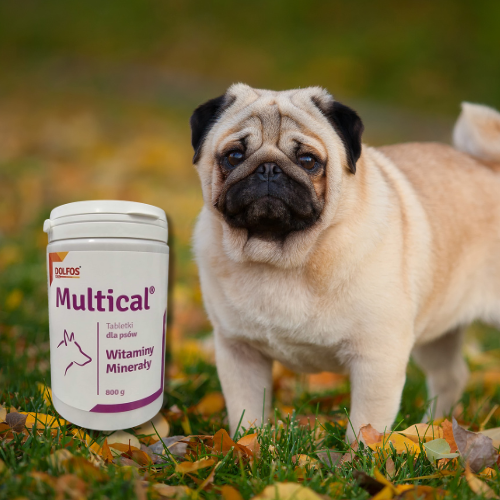 Dolfos Dolvit Multical 800g (510 tabl) Witaminy i minerały dla psa.png