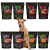 Tasty Dogs Life Mix Smaków 8x500g Mokra karma dla psów w galaretce