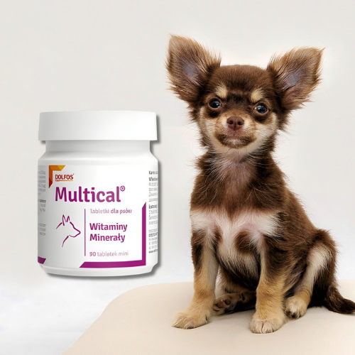 Dolfos Dolvit Multical 90 tabl. Mini – witaminy dla psów i suk w ciąży.png