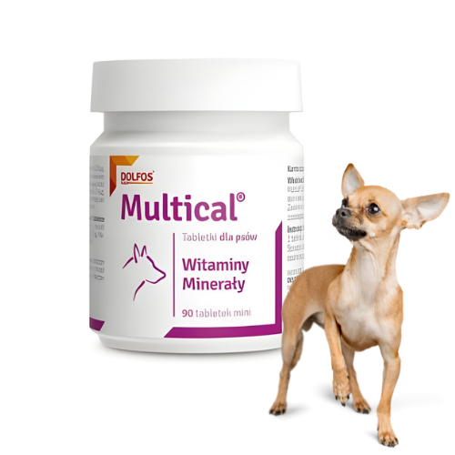 Dolfos Dolvit Multical 90 tabl. Mini – witaminy dla psów i suk w okresie ciąży.png