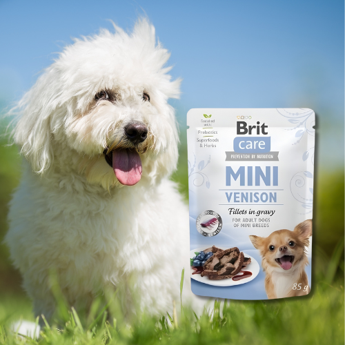 Brit Care Mini Pouch Venison 85g Mokra kama dla psa z dziczyzną a.png