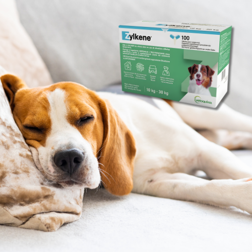 Zylkene 225 mg 100 kapsułek uspokajające dla psa 10-30 kg.png