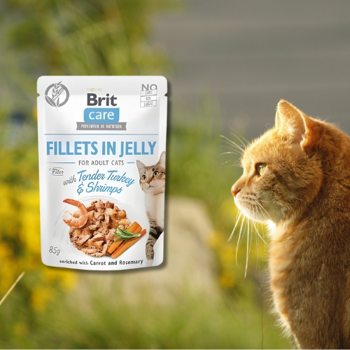 Brit Care Cat Filety 85g Mokra karma dla kota z indykiem i krewetkami .png