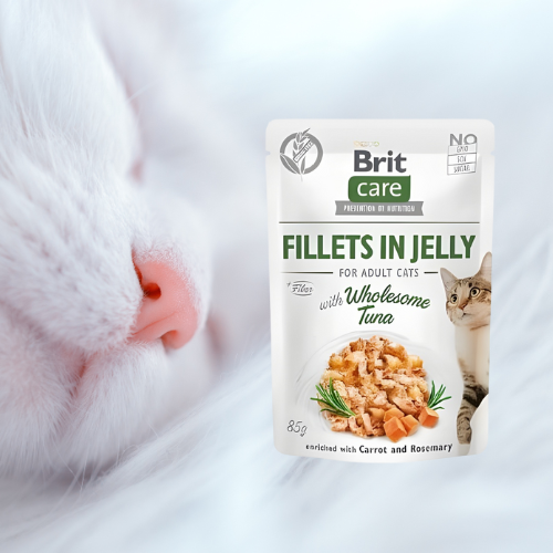 Brit Care Cat Filety 85g Mokra karma dla kota z tuńczykiem a.png