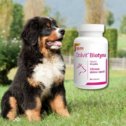 Dolvit Biotyna 90 tabletek dla psa – zdrowa sierść i skóra Dolfos al.png