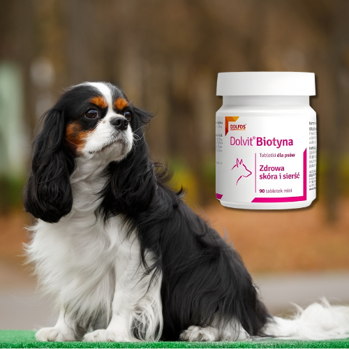 DOLFOS Biotyna Mini 90 tabletek na zdrową skórę i lśniącą sierść a.png