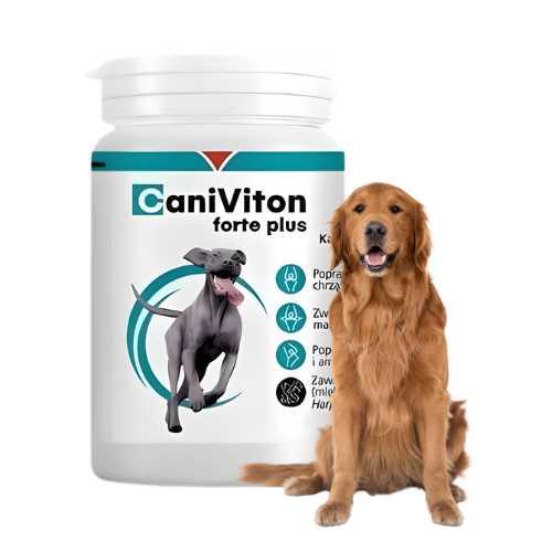 Caniviton Forte Plus 90 tabl. na stawy psa z glukozaminą.png