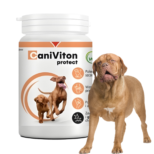 Caniviton Protect 90 tabl. na stawy psa z glukozaminą zoomisia.png