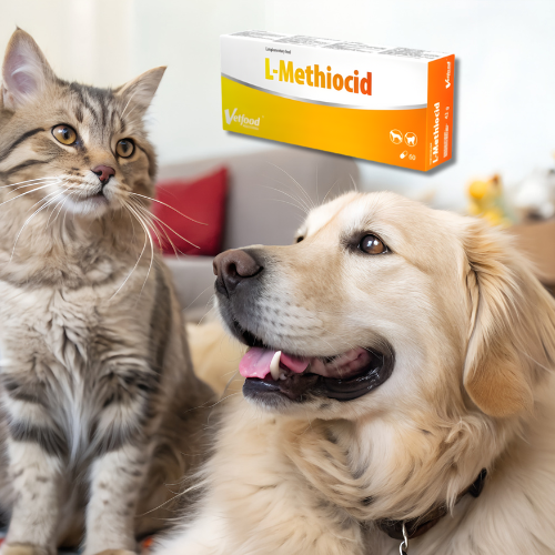 L-Methiocid 60 kapsułek wsparcie układu moczowego dla psa Vetfood a.png