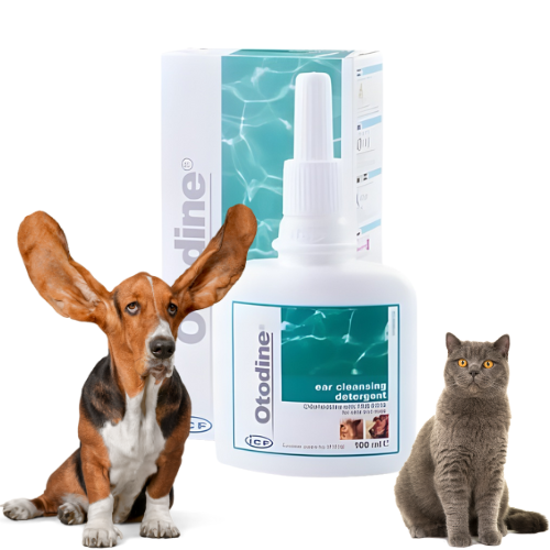 Geulincx Otodine 100 ml Płyn do czyszczenia uszu dla psa i kota zoomisia pl.png