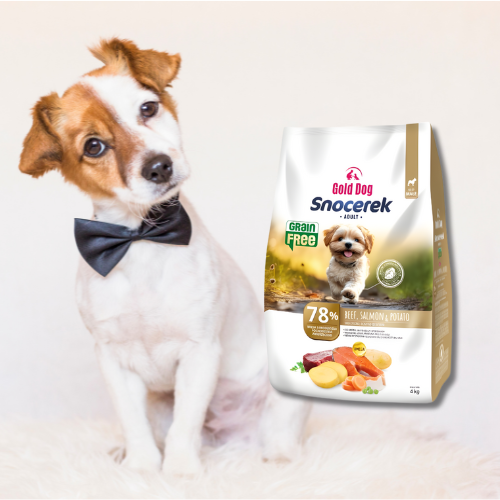 Gold Dog Snocerek 4 kg  Grain Free. Sucha karma dla psa z wołowiną i łososiem
