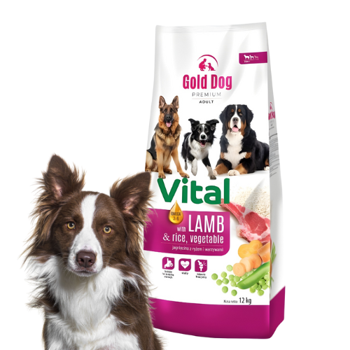 Gold Dog Premium Vital 12 kg Sucha karma dla psa z jagnięciną