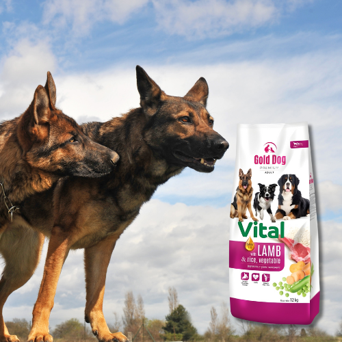 Gold Dog Premium Vital 12 kg Sucha karma dla psa z jagnięciną