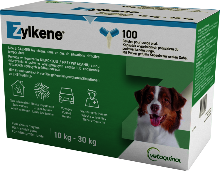 ZYLKENE 100 Capsule 225MG BlistPack Carton.png