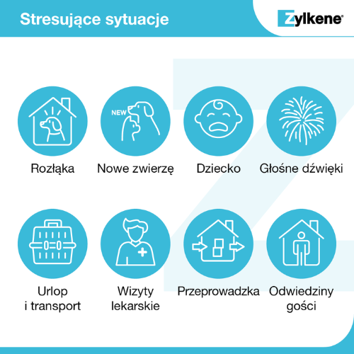 Zylkene 225 mg kapsułki 10-30 kg kapsułki uspakajające .png