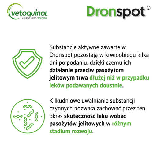 Dronspot działanie zoomisia.png