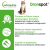 Vetoquinol Dronspot 2 szt krople odrobaczające dla małych kotów 0,5-2,5 kg.png