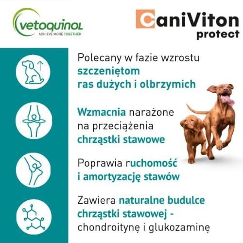 Caniviton Protect 90 tabl. na stawy psa z glukozaminą dla dużych ras.jpg