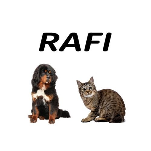 Rafi Cat Sterilised Adult 6x400g Mokra karma dla kota z królikiem