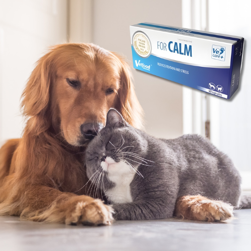 Vetfood For Calm 60 kapsułek Preparat uspokajający dla psa dla kota antystresowy a.png