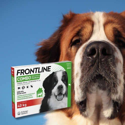 Frontline Combo Spot-On XL na pchły i kleszcze dla psów 3 pip a.png