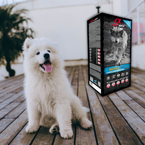 Alpha Spirit Wild Fish 9kg Bezzbożowa półwilgotna karma dla psa z rybą a.png