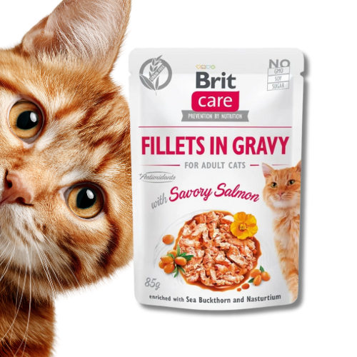 Brit Care Cat Pouches Fillets in Gravy 85g Mokra karma dla kota łosoś
