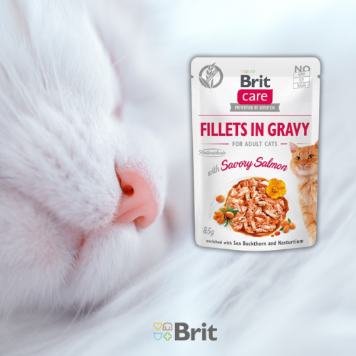 Brit Care Cat Pouches Fillets in Gravy 85g Mokra karma dla kota łosoś
