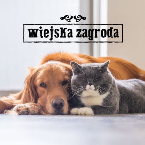 Wiejska Zagroda Monobiałkowa Przepiórka  12x400g mokra karma dla kota