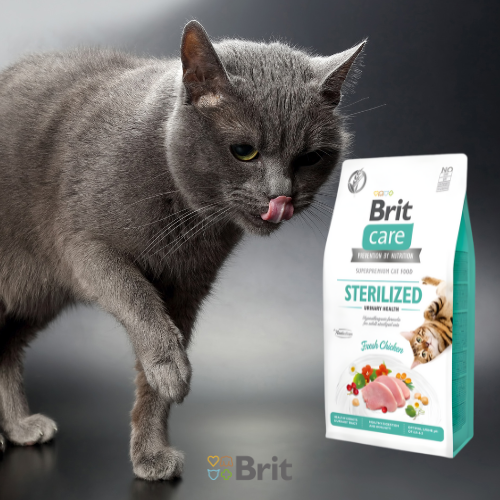 Brit Care Grain Free Sterilized Urinary Health 2 kg Sucha karma dla kota.png
