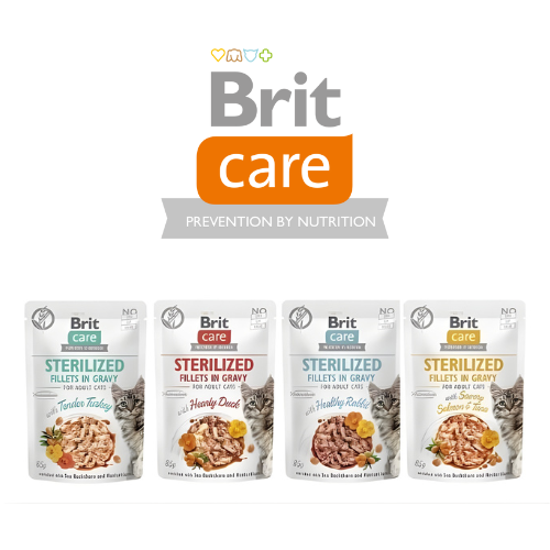 Brit Care Cat Sterilized Flavour Box Pouch 12×85 g Mokra karma dla kota.png