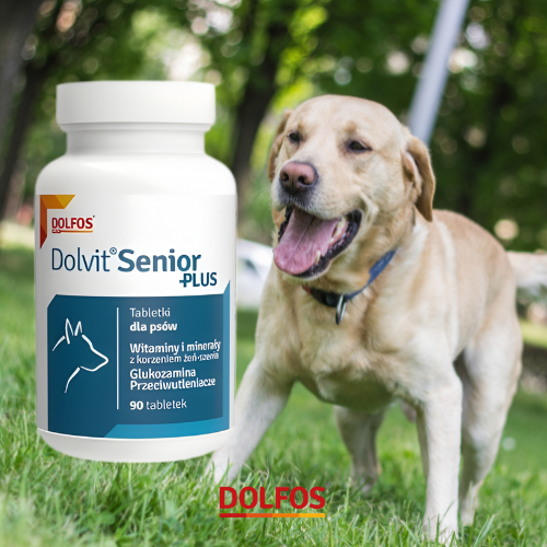Dolvit Senior Plus 90 tabl. Kompleks witamin i minerałów dla psa seniora a.png