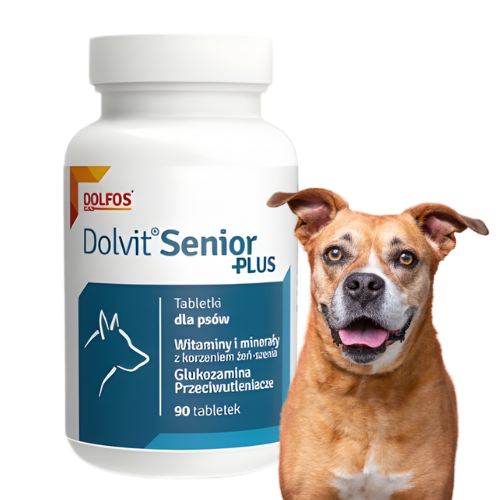 Dolvit Senior Plus 90 tabl. Kompleks witamin i minerałów dla psa seniora.png