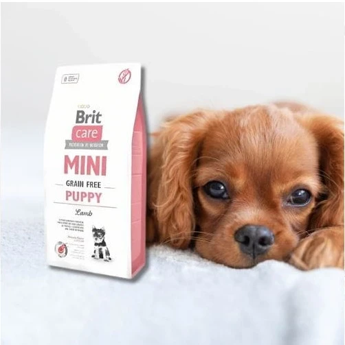brit-care-mini-puppy-lamb-pies-jedzenie.webp