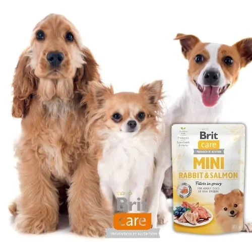 brit-care-mini-porcja-mokra-karma-dla-malych-psow.webp