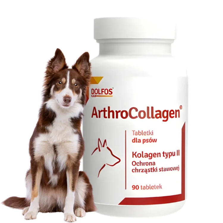 dolfos-arthrocollagen-90-tabletek-na-stawy-psa.webp
