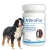 dolfos-arthrofos-preparat-wspierajacy-stawy-psa.webp