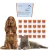 diadog-dia-dog-przeciw-biegunce-psa-kota.webp