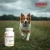 dolfos-prostadol-dla-psa-prostata.webp