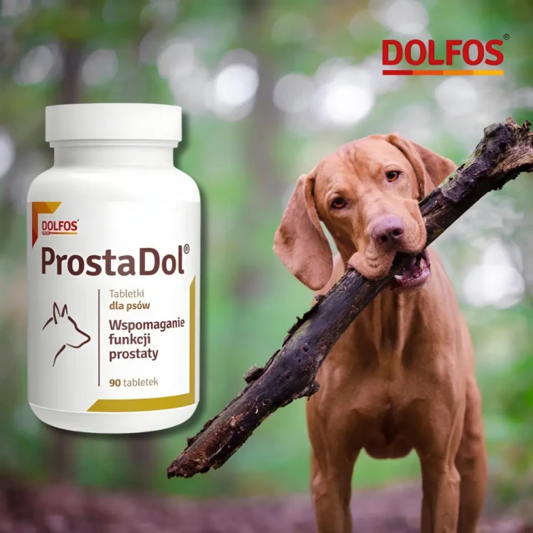 dolfos-prostadol-opakowanie-90-tabletek.webp