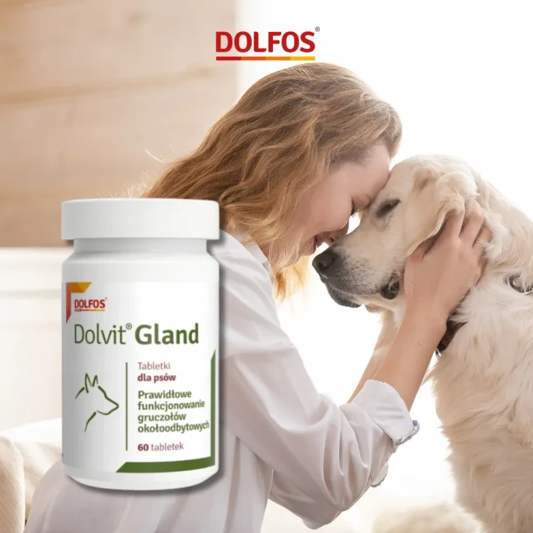 dolfos-dolvit-gland-60-tabletek-opakowanie-suplement-pies.webp