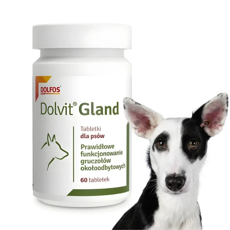 dolfos-dolvit-gland-60-tabl-zdrowie-gruczolow-psa.webp