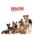 marka-dolfos-suplementy-dla-psa-i-kota.webp