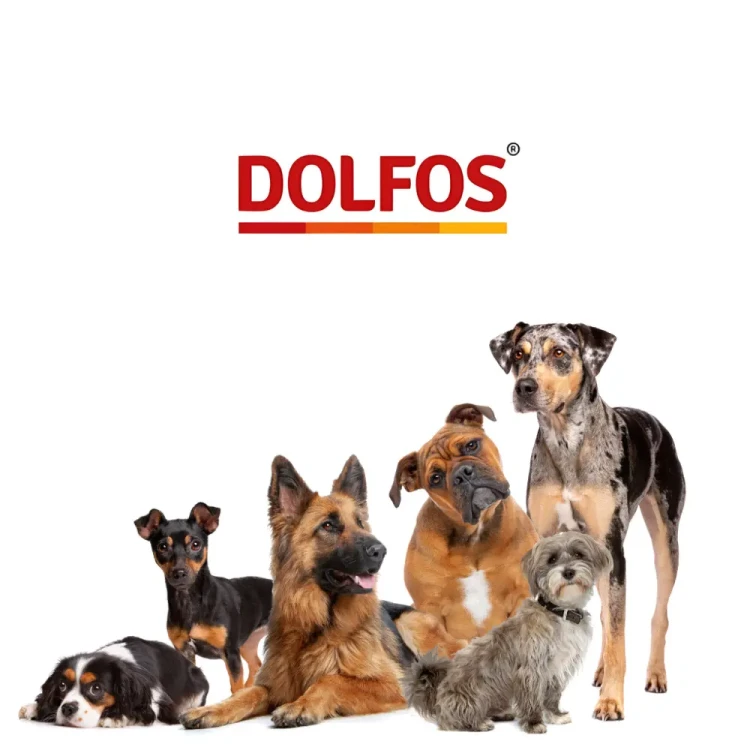 marka-dolfos-suplementy-dla-psa-i-kota.webp