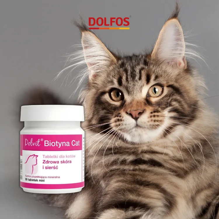 dolfos-biotyna-kot-mini-90-tabletek-opakowanie-i-dawka.webp