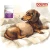 dolfos-dolvit-multical-plus-mini-suki-ciaza-laktacja.webp