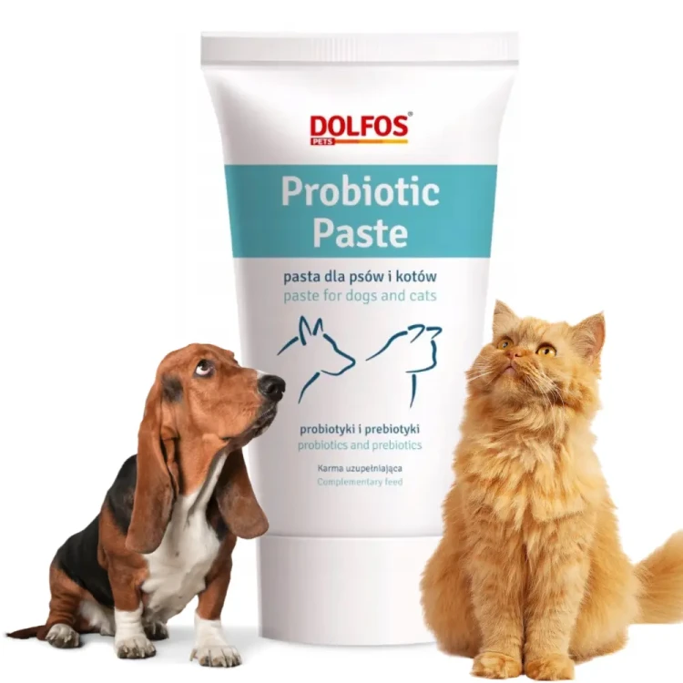 podawanie-pasty-probiotycznej-dolfos-dolvit-pies-kot.webp